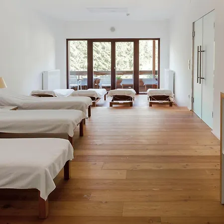 Aparthotel Aparthotel Chalet Wetzlgut 4*