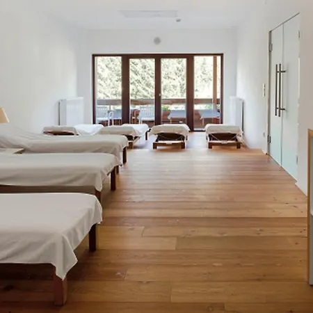 Aparthotel Aparthotel Chalet Wetzlgut 4*